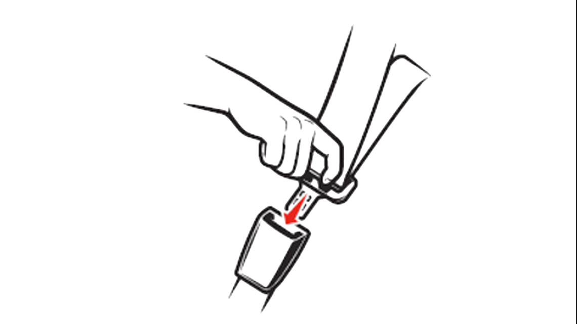 seatbelt ontrail